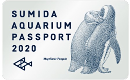 すみだ水族館 年間パスポート 3枚 （散歩】すみだ水族館更新