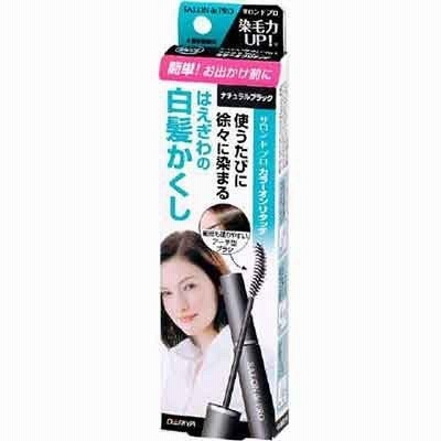サロンドプロ カラーオンリタッチ 白髪かくしEX ナチュラルブラック ダリヤ【PT】