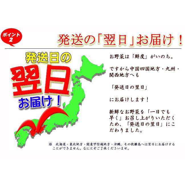 野菜セット たまご 同梱可 とれたて野菜 ８種類セット 高知産 レシピ・追加機能 送料無料 [Qv10] 詰め合わせ クール便 新鮮 葉物 根菜 香味