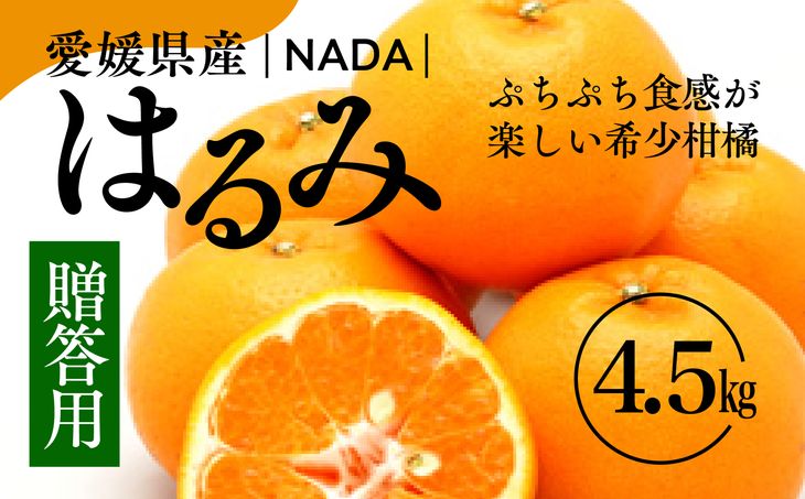 愛媛県産 はるみ 贈答用 4.5kg みかん 柑橘 ギフト ※2024年1月中旬～2月上旬頃に順次発送予定