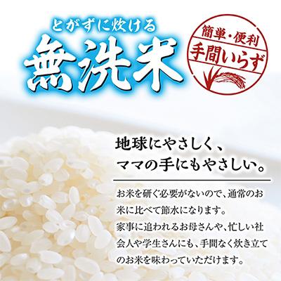 ふるさと納税 酒田市 庄内産特別栽培米 つや姫無洗米 毎月5キロ(3ケ月) 全3回