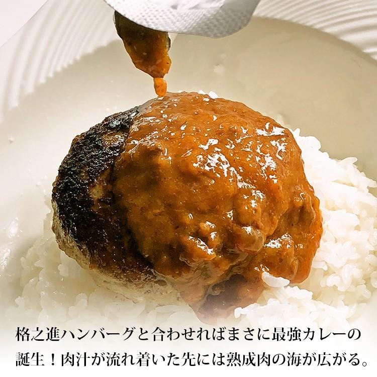 ビーフカレー レトルト 高級 お歳暮 2023 ギフト 格之進 門崎 熟成肉カレー 4個セット 1袋 160g|12月26日まで年末のご挨拶カード付|