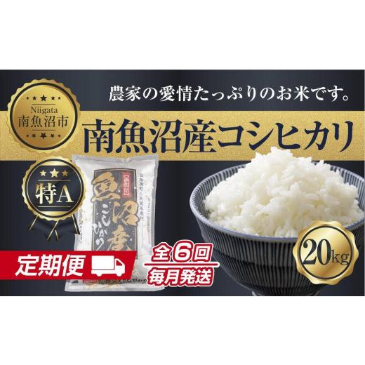 ふるさと納税 新潟県 南魚沼市 ES368  新潟県 南魚沼産 コシヒカリ お米 20kg×計6回 精米済み 半年間 毎月発送 こしひかり（お米の美味しい炊き方…