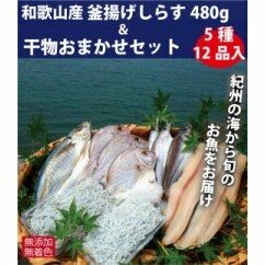 ZB6085n_和歌山産 釜揚げしらす 480g＆干物詰め合わせセット 5種12品入り