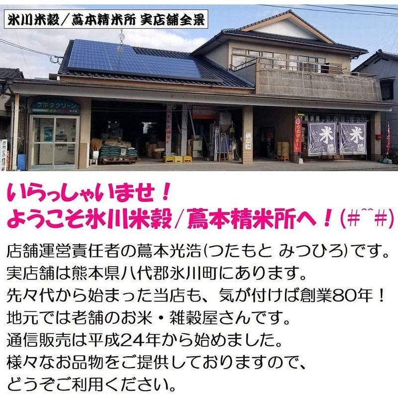 令和4年 熊本県 球磨地方産 玄米 ひのひかり 5kg×2袋(10kg)