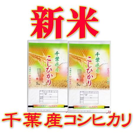  千葉県産コシヒカリ10kg (5kg×2袋)令和5年産新米