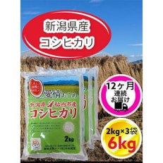 新潟県胎内市産コシヒカリ6kg(2kg×3袋)全12回