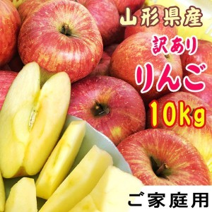 予約販売 訳あり りんご サンふじ 10kg 送料無料 山形県産 無選別 26~50玉　[ご家庭用りんご１０キロ]