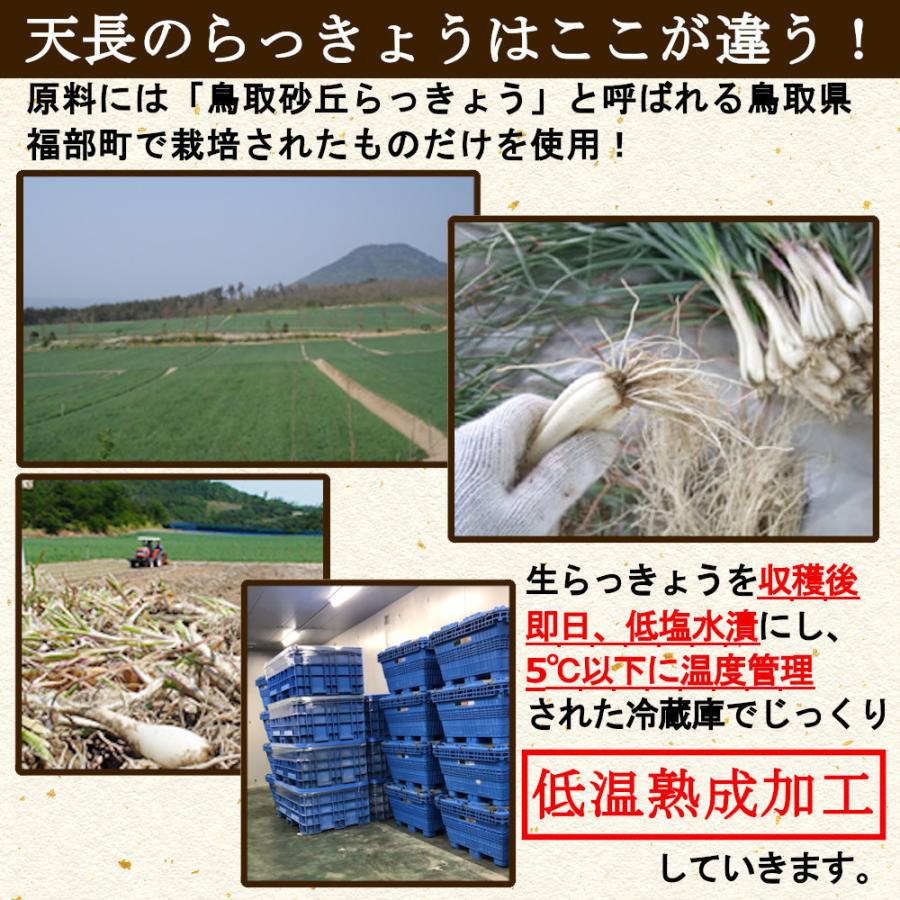 らっきょう 国産 ピリ辛 190gx2袋 鳥取 ふぞろい 無添加 低温熟成 国産 ラッキョウ漬け 甘酢漬け らっきょう 送料無料