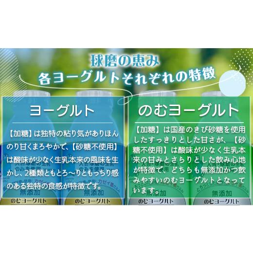 ふるさと納税 熊本県 湯前町 球磨の恵みヨーグルト堪能セット