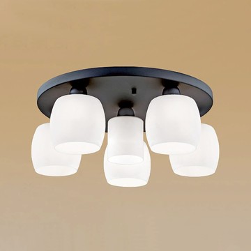 燈罩式吸頂六燈 B260-64-74283