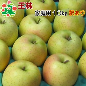 りんご 訳あり 青森県産 王林 家庭用 キズあり 10kg 送料無料 産地直送 産直自宅用 ワケあり お試し 試食 食べ物 旬の くだもの 果物