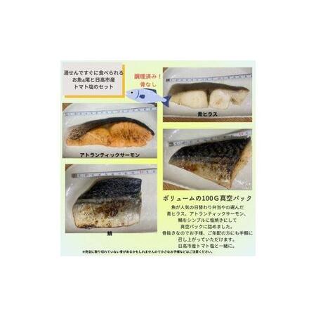 ふるさと納税 魚が人気のお弁当屋が作る！高ランクお魚塩焼き真空惣菜３種４尾セットと日高市産トマト塩 埼玉県日高市