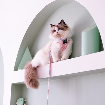 棉質親膚/環繞設計/不易掙脫 | 貓胸背-無盡夏 Pawsholic爪迷