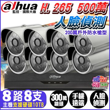【帝網KingNet】大華 8路8支 1080P 紅外線夜視 H.265 監控套餐 5MP 500萬 主機