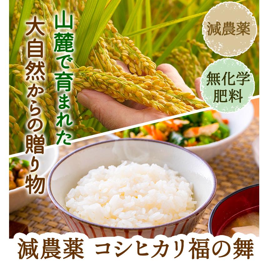 新米入荷 減農薬・無化学肥料栽培 コシヒカリ「福の舞」3kg 送料無料 令和5年福井県産