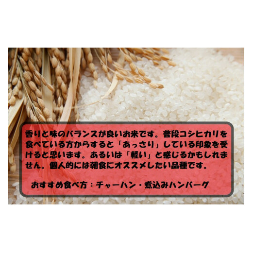 令和5年産 茨城あきたこまち 5kg 1袋 あきたこまち 白米 精米 ごはん お米 国産 茨城県産 守谷市 送料無料