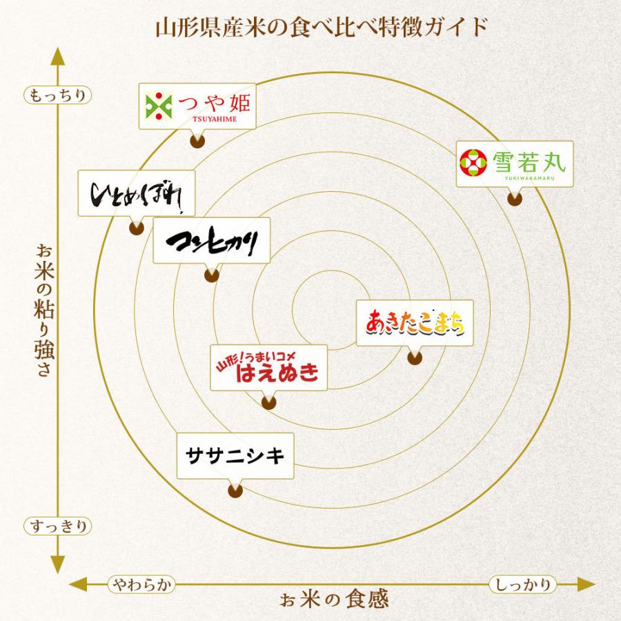 新米 無洗米 10kg (5kg×2袋) つや姫 山形県産 令和5年