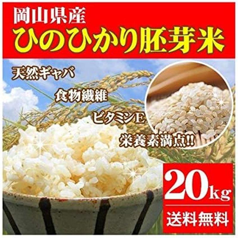 4年産 ひのひかり胚芽米 20kg (5kg×4袋) 岡山県産 お米