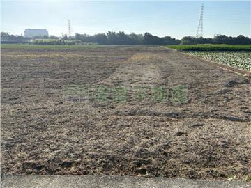 高鐵便道旁一般農地｜台南市永康區竹行段