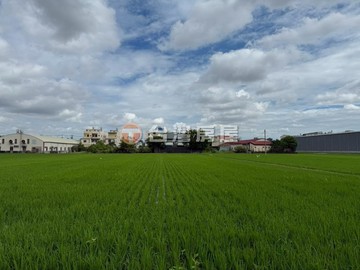 獨家！！正大里三期區段徵收農地投資節稅置產好選擇｜台中市大里區大里段