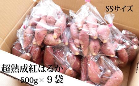 さつまいも 熟成 紅はるか 鹿児島県産 4.5kg 500g × 9袋 SSサイズ 先行予約 2024年1月より順次発送