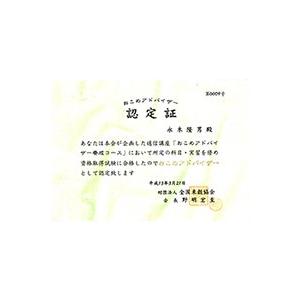 令和５年産 こしひかり10％ ブレンド米 国内産100% 10kg