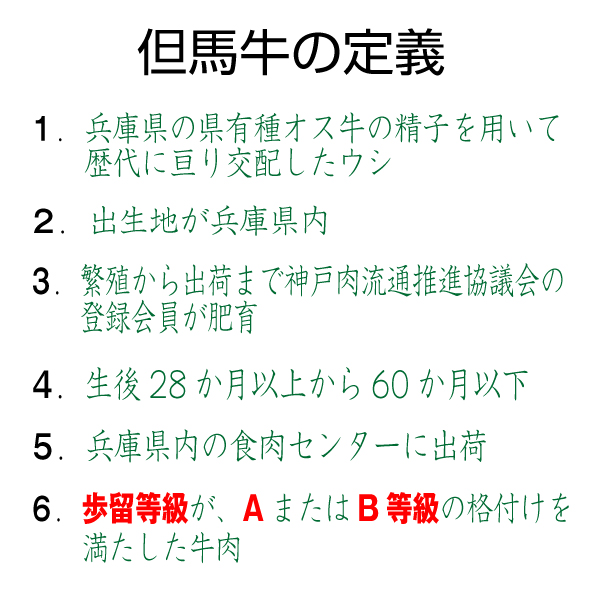 肉 牛肉 牛モモ 牛肩ロース 但馬牛 ギフト 500g すき焼き