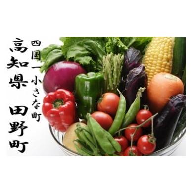 ふるさと納税 高知県 田野町 四国一小さな町の特産品詰め合わせセット 野菜 詰め合わせ セット 季節の野菜 旬の野菜 旬 特産 新鮮 田野町 道の駅 サラダ 根菜 …