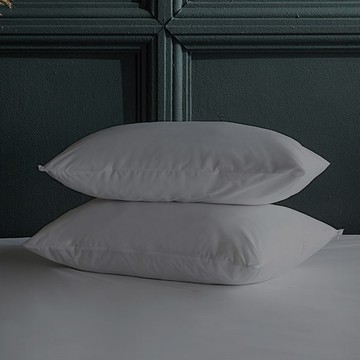 PROTECT-A-BED Moon Night舒眠防水枕頭套  2個  50 x 70公分  灰色