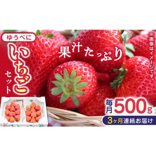 ふるさと納税 熊本県 山都町 熊本県産 ゆうべに いちご  セット 250g×2P 農園直送 産地直送 山都町産[YBI045] 2…