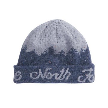 The North Face 北面 針織毛帽 帽子 反折 山景小屋 藍 NF0A887VFHI