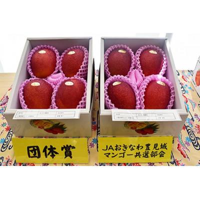 ふるさと納税 豊見城市 アーウィンマンゴー約2kg(白箱)ご家庭用