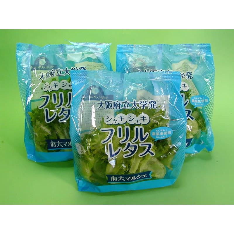 大阪府立大学植物工場　フリルレタス(約70g)　１２個（約840g）入り