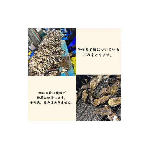 ふるさと納税 岡山県 備前市 殻付き牡蠣(加熱用)　一斗缶