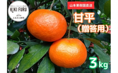 山本果樹園直送　甘平　約３kg（贈答用）