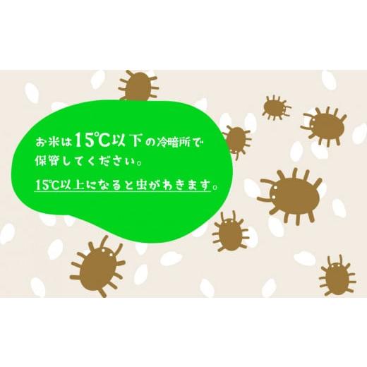 ふるさと納税 茨城県 境町 K1959 ＜2024年08月下旬初回発送＞ 定期便 1000セット 限定 お米 4種 食べくらべ 20kg 茨城県産