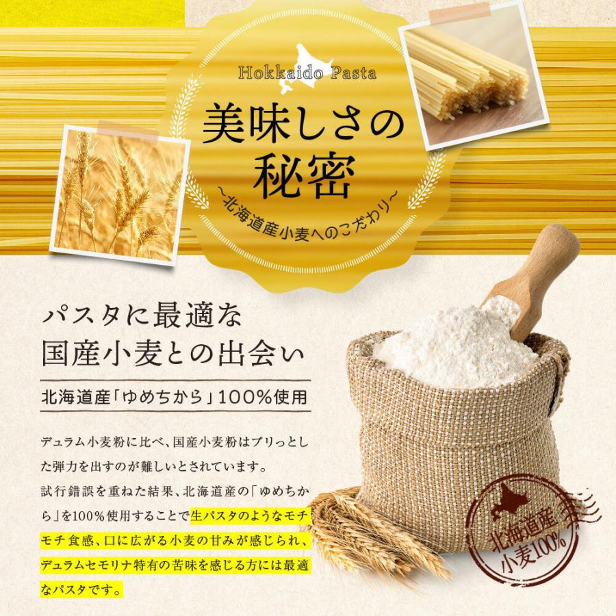北海道パスタ 270g 単品 1.6mm スパゲッティ ゆめちから 北海道産小麦使用  赤城食品