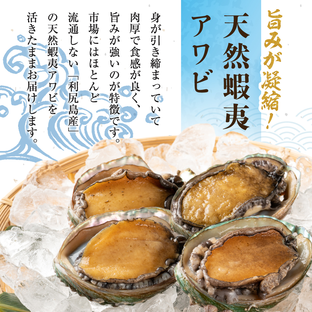 利尻島産 天然蝦夷『活』アワビ1kg※オンライン決済限定