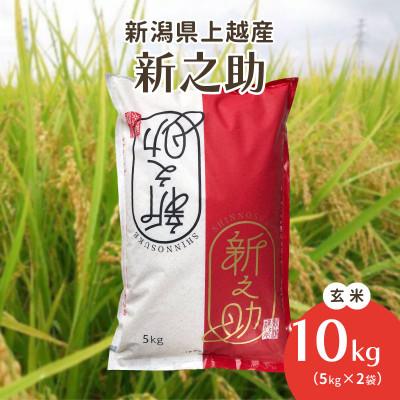 ふるさと納税 上越市 令和5年・新潟県上越産|新潟ブランド米「新之助」 玄米10kg(5kg×2袋)