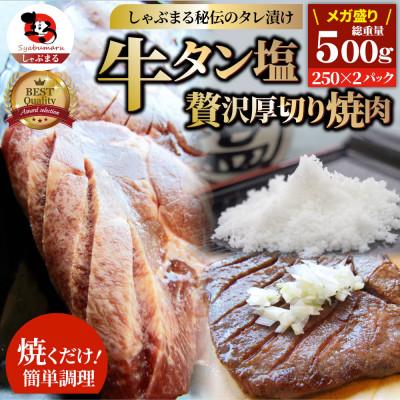 ふるさと納税 三木町 牛タン焼肉 秘伝の塩ダレ漬け 総重量 500g(250g×2)《専門店の味》