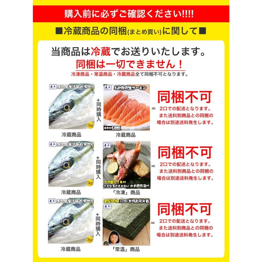 寒ブリ 半身 おろし済み 約1.5kg〜 九州産 お刺身用 チルド ぶり 鰤 ぶりしゃぶ 照焼き 忘年会 お歳暮 業務用 食品 おかず お弁当