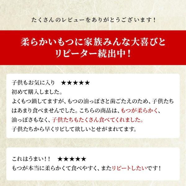 モツ鍋 もつ鍋 博多 牛 もつ ホルモン 鍋 セット ちゃんぽん お取り寄せ 常温保存 長期保存可能  牛もつ鍋セット 1人前×3セット