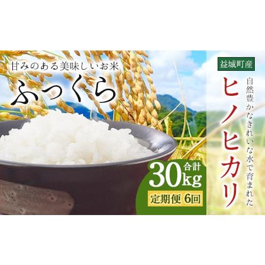 ふるさと納税 熊本県 益城町 熊本 益城町産ヒノヒカリ 5kg×年6回 合計30kg