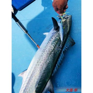 MajorCraft日本馬牌3D仿生擬真JPV快抽慢搖鐵板120克鲅魚馬鮫炮彈