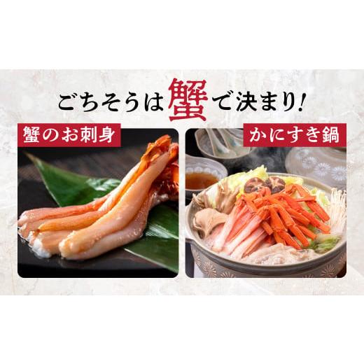 ふるさと納税 福井県 越前市 紅ズワイガニ 足棒のみ(ハーフポーション) 刺身(生食可) 冷凍 ずわい蟹