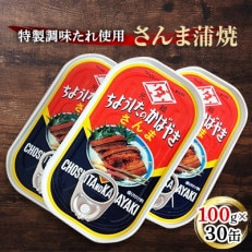 さんま蒲焼5A 100g×30缶