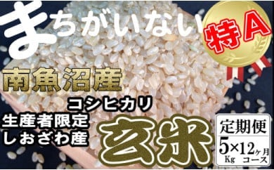 玄米 生産者限定 南魚沼しおざわ産コシヒカリ5Kg×12ヶ月