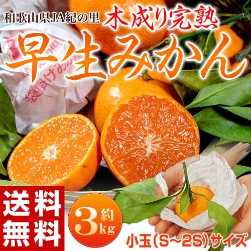 『袋掛け完熟みかん』和歌山県紀の里産 柑橘 小玉S〜2Sサイズ 約3kg　産地箱入 ※常温 送料無料