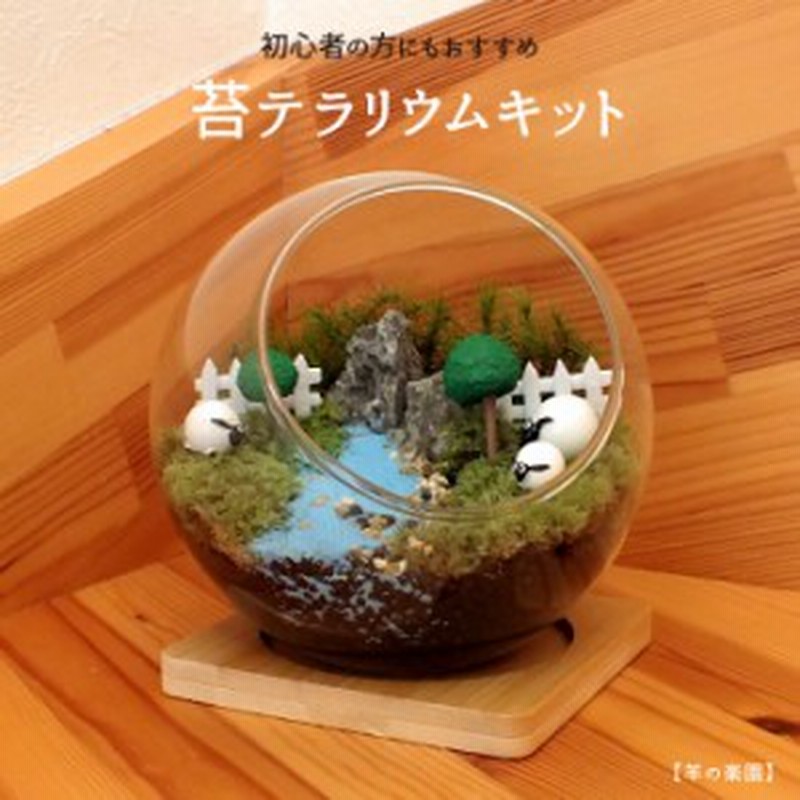 羊の楽園 苔テラリウム 苔リウム コケリウム 盆栽 苔 手作り キット 巣ごもり おうち時間 ガーデニング 観葉植物 園芸 癒し ギフト 誕 通販 Lineポイント最大1 0 Get Lineショッピング